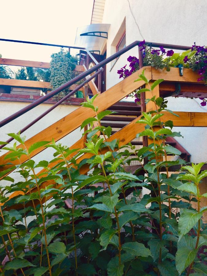 Apartament Delux Z Tarasem Daire Sierpc Dış mekan fotoğraf
