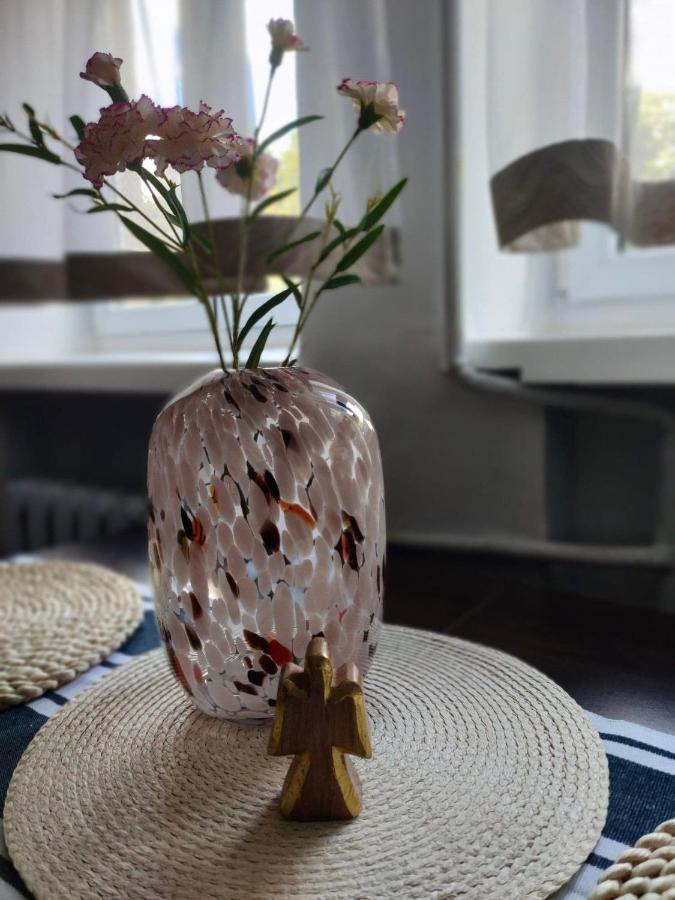 Apartament Delux Z Tarasem Daire Sierpc Dış mekan fotoğraf